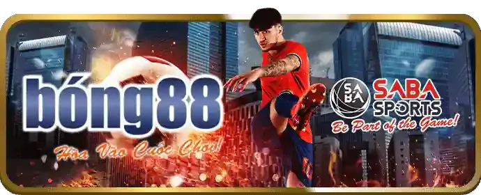 Hoàn trả và sự kiện đặc biệt 88cbl